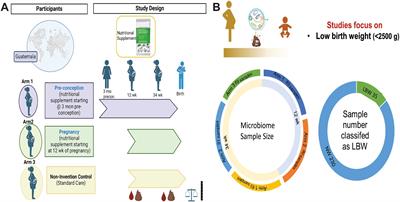 Associations between maternal microbiome, metabolome and incidence of low-birth weight in Guatemalan participants from the Women First Trial